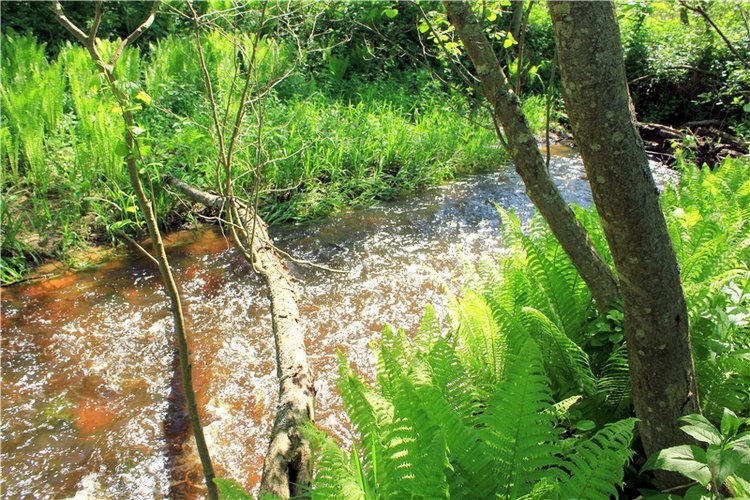 Затерянный Мир — Красивая природа и цветы: фото пейзажей