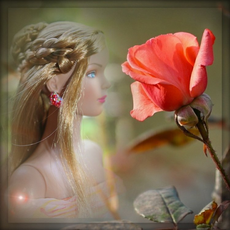 Мои Тоннерки. Фотозарисовки