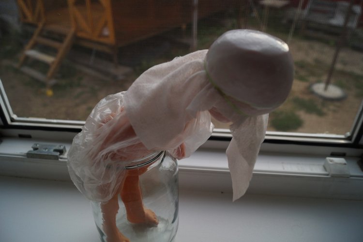 Куколки здоровы - пора выписываться