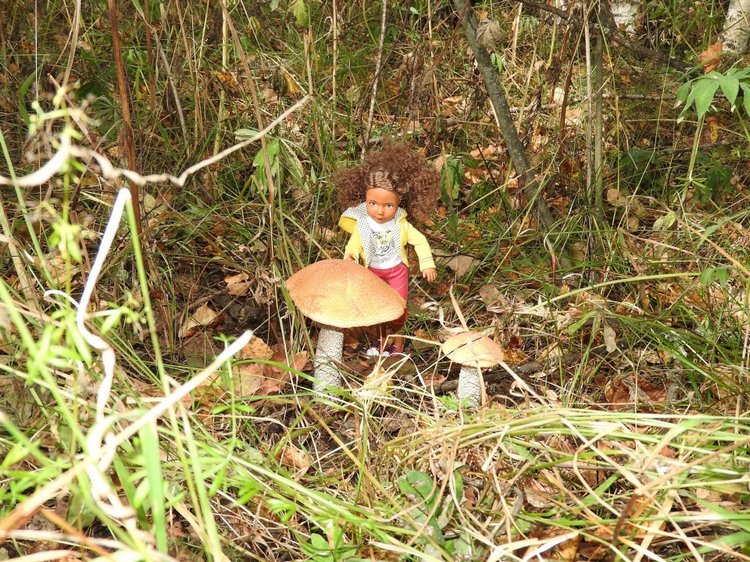 Отдых в деревне с Джой — Туризм и путешествия: фотоотчеты из поездок