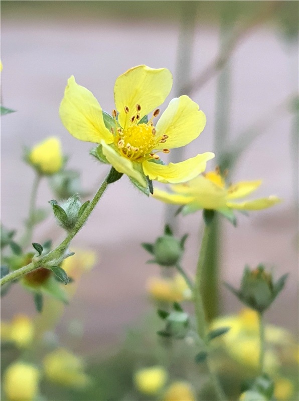Путешествие по Святым местам Тверской области, продолжение