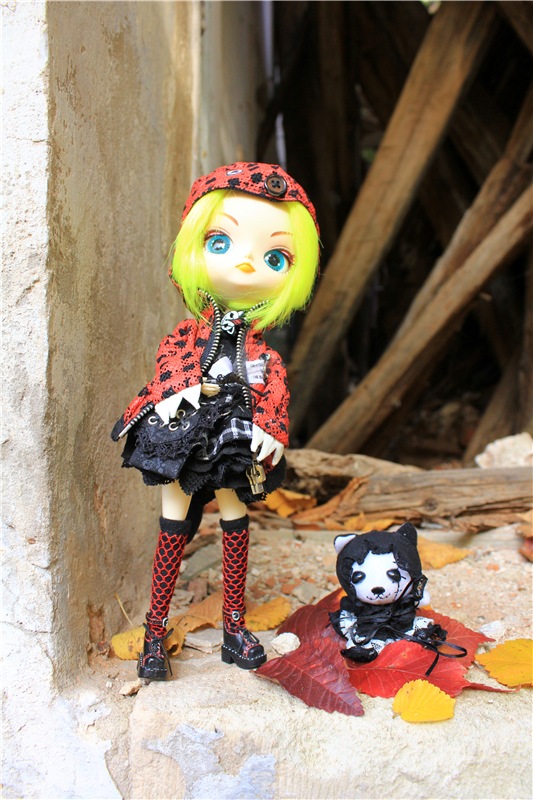 Путешествие Dal Hangry в Грузины