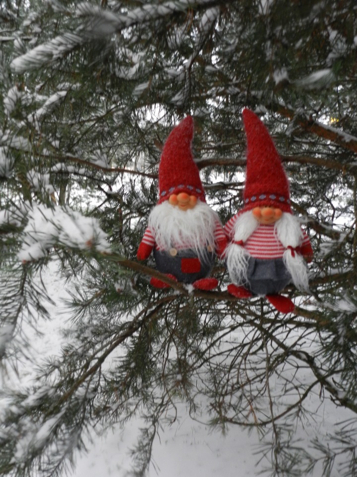 Наши зимние прогулки. Сабрина от Zawieruszynski