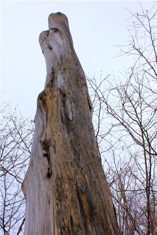 Тверской Ботанический Сад, заключительная часть