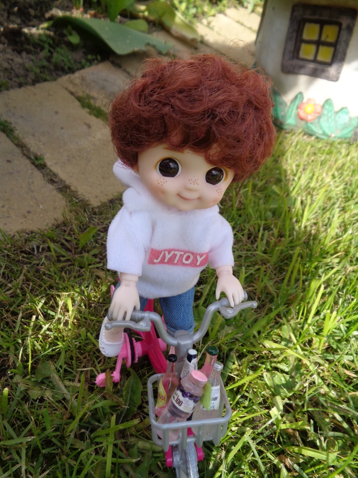 Любимки в деревне — Куклы Baboliy (Баболи