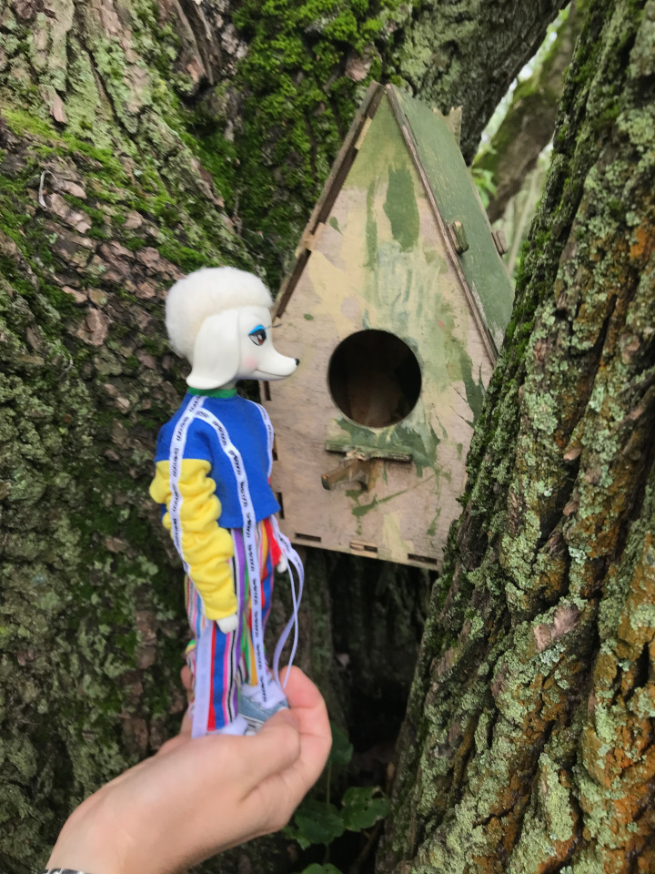 4 сезона Peteena от Hasbro