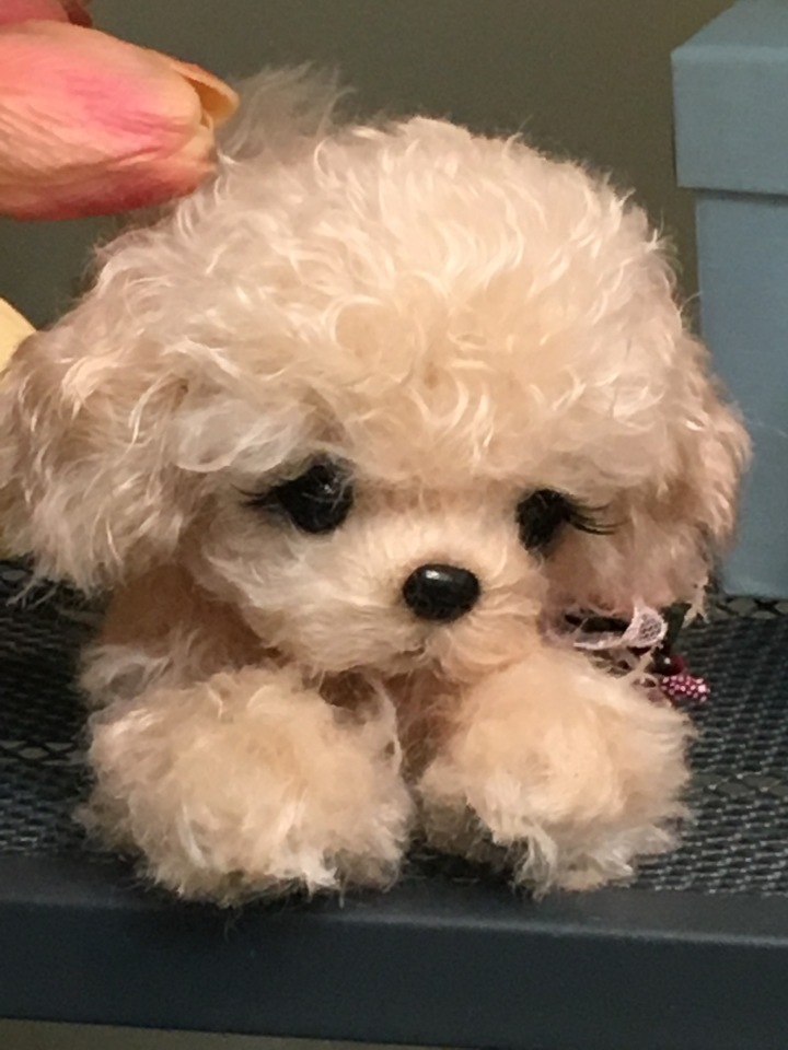 Апрель 2018 - выставка на Тишинке - так ее увидела я - часть 2