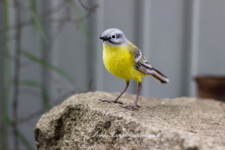 Жёлтая трясогузка — Валяные игрушки из шерсти: сухое валяние (фото 6)