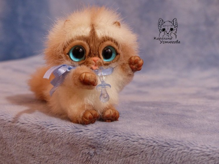 Сиамский котеночек-ребеночек (фото 8)