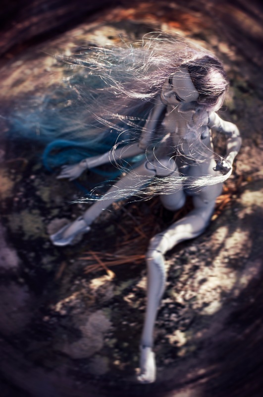 Музыка ветра — Домашние фото авторских кукол: личные коллекции