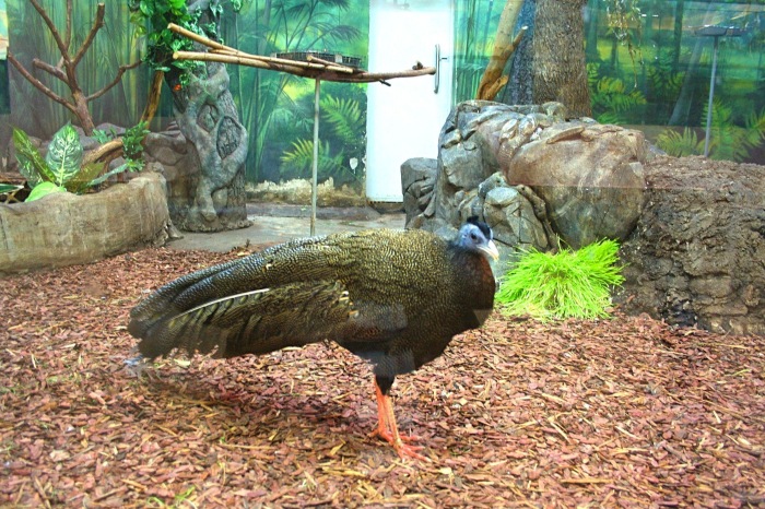 Московские каникулы. Часть 1