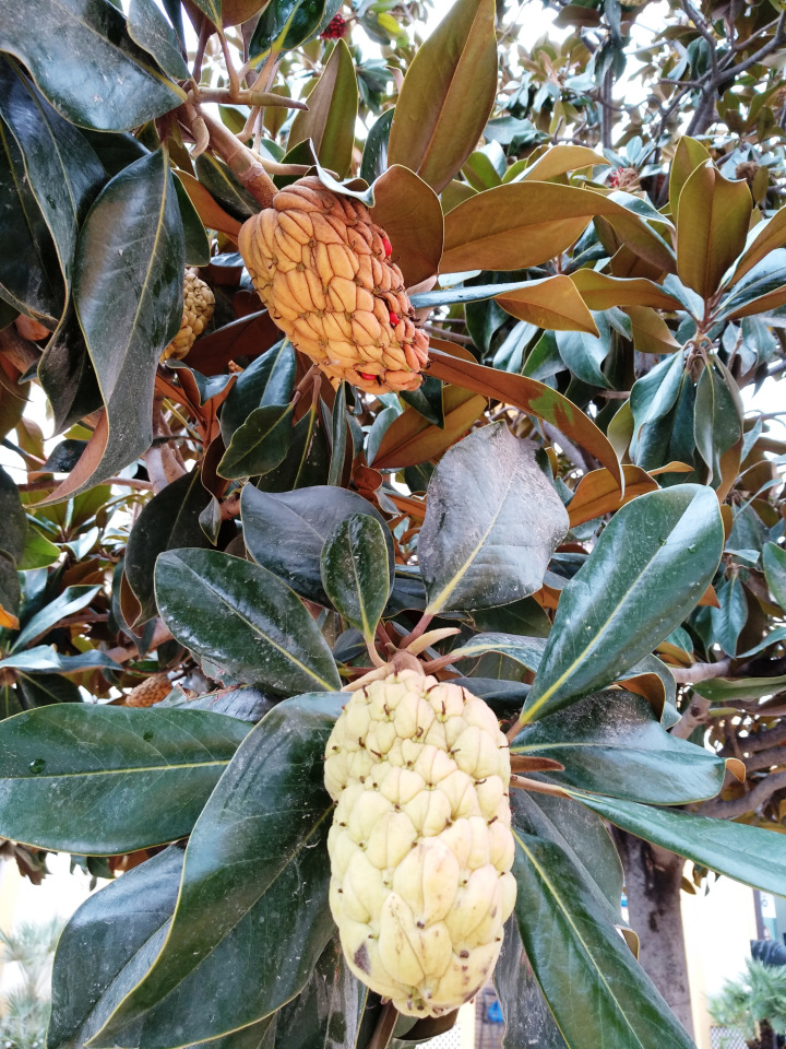 Тайна моего имени. Часть седьмая. Испания, Малага. Первые восторги и разочарования