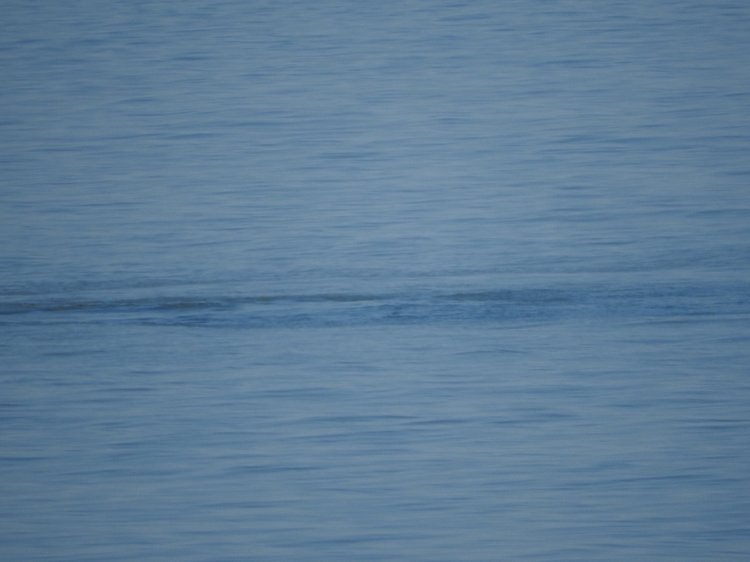 Сочи-Адлер: Южное Взморье - Красоты Черного Моря