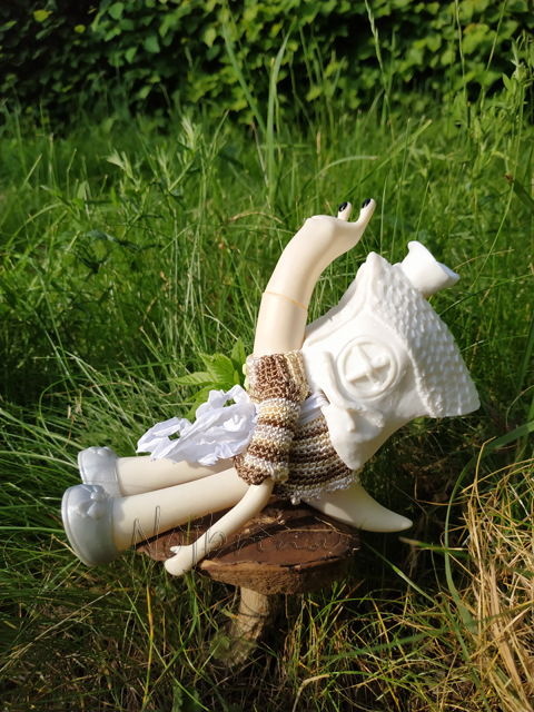 Wonderfrog. Красота в простоте