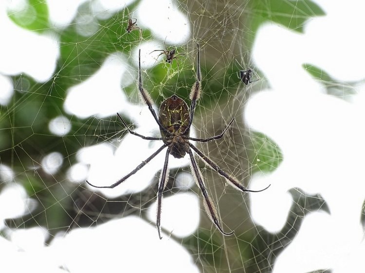 Любителям природы - профессиональные фотографии (выпуск 4)