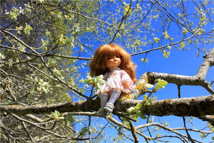 Путешествие Софи в Старицу, продолжение. Lati HoneyBee New Mystic Sophie