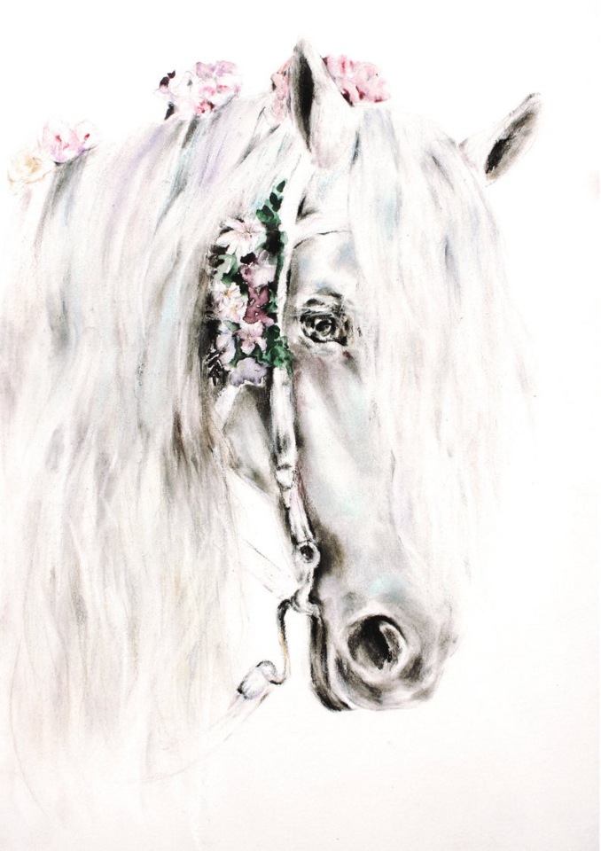 BrigitteMayArt - Иллюстрированная флора и фауна by Brigitte May