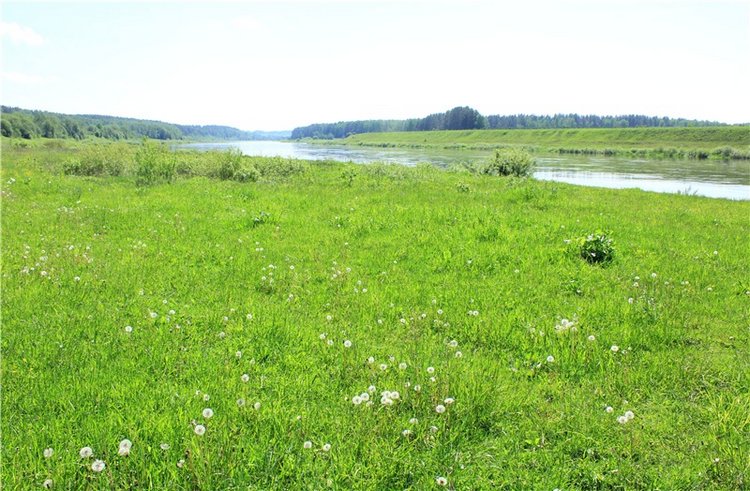 Эля в Иванишах. Twinkles Ella Chocolate