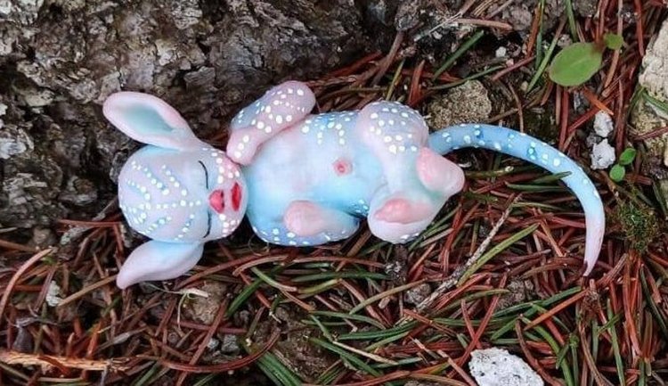 Hadasycasitas - Волшебный мир Патриции - ч.1