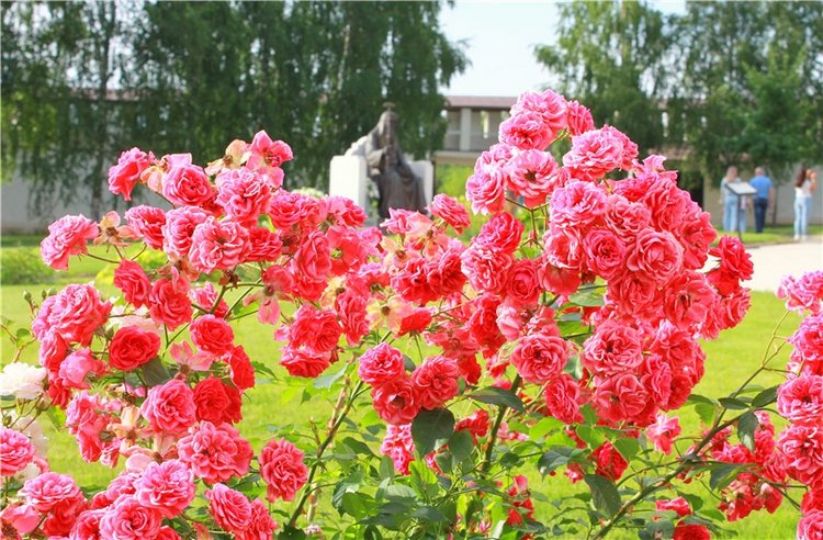 Июльское путешествие в Старицу