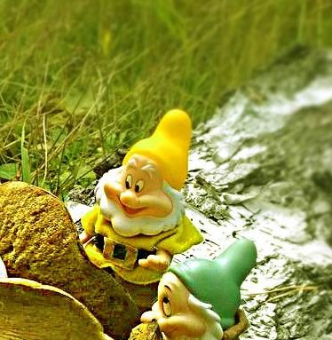 Осеннею порой под старою сосной... Принц, Белоснежка и гномы... встречаются