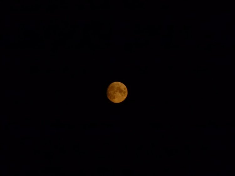 Отдых в деревне с Джой — Туризм и путешествия: фотоотчеты из поездок