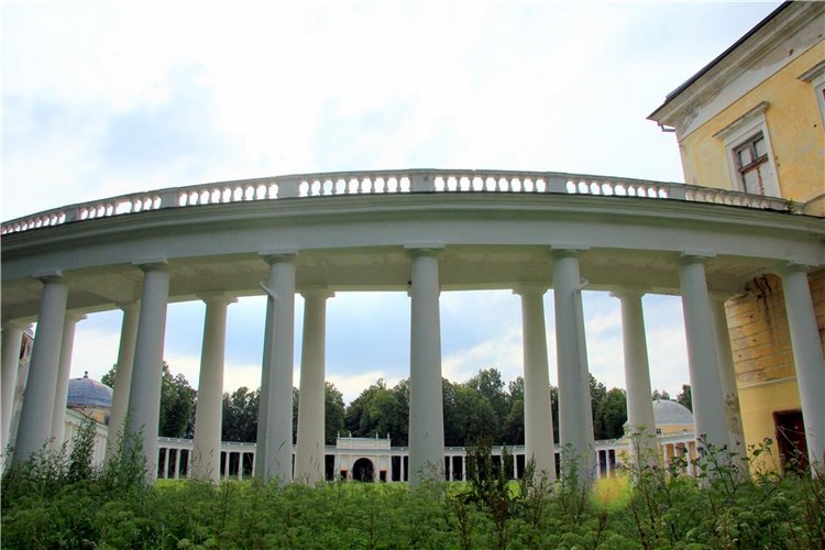 Путешествие Виолы в Усадьбу Знаменское-Раёк