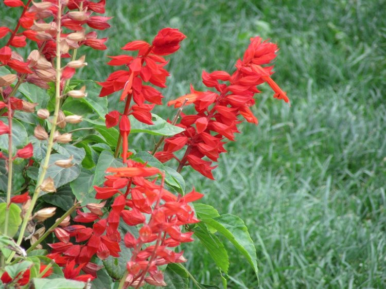 Осенняя пора в Ростове-на-Дону