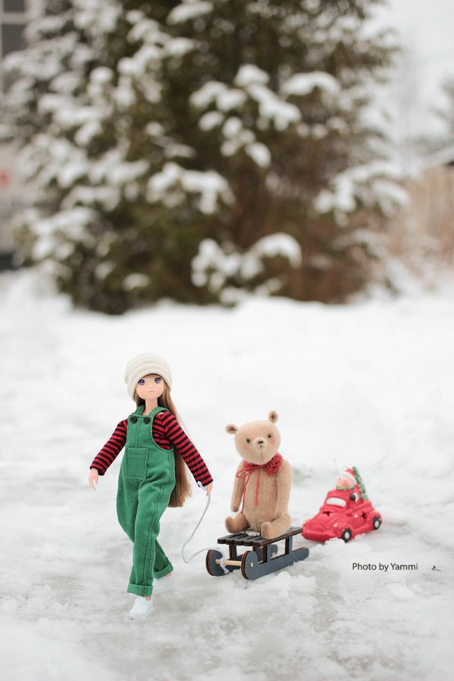 Новогодние каникулы в деревне (фото 10)