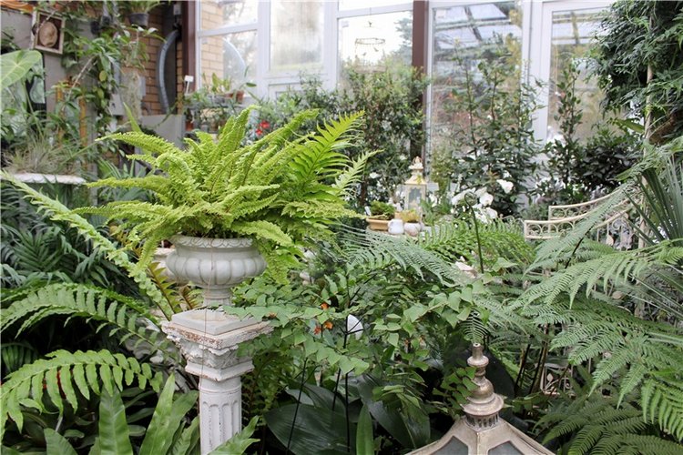 Тверской Ботанический Сад, продолжение | Бэйбики Тверской Ботанический Сад, продолжение