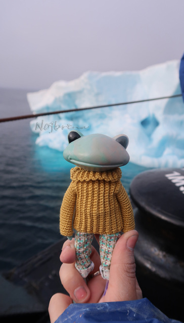 Большое путешествие Кензо. Арктика. Северный полюс