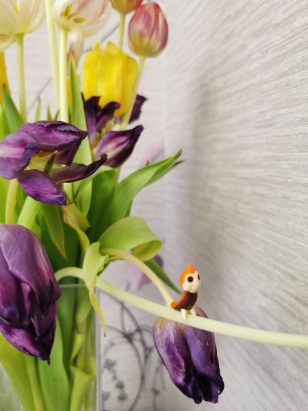 Лягушка Ванда и все-все-все (фото 8)