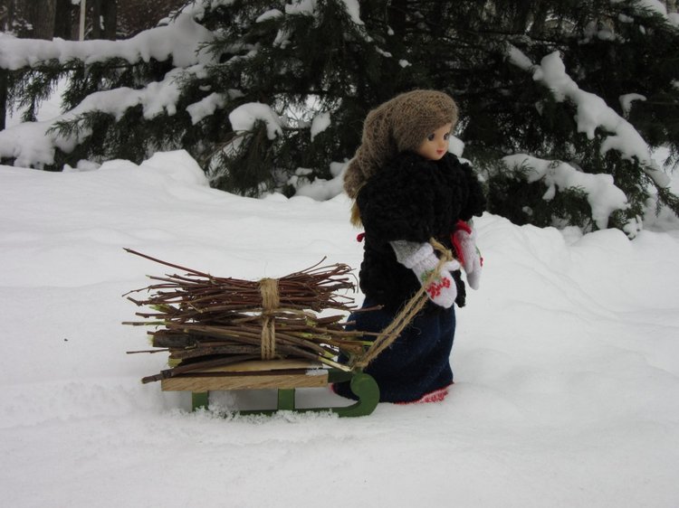 Запасаемся хворостом с Хеленой (фото 2)
