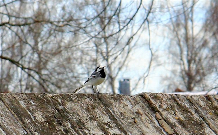 Усадьба Чукавино, Тверская область