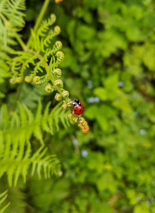 Путешествие с куклой — Куклы Kathe Kruse (Кате/Кэте Крузе): фото (фото 3)