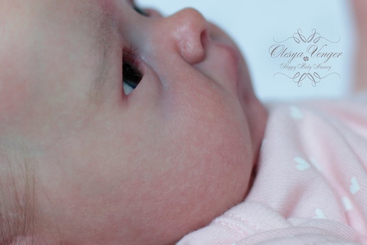 Тинк, мой любимый птенчик. Кукла реборн Венгер Олеси