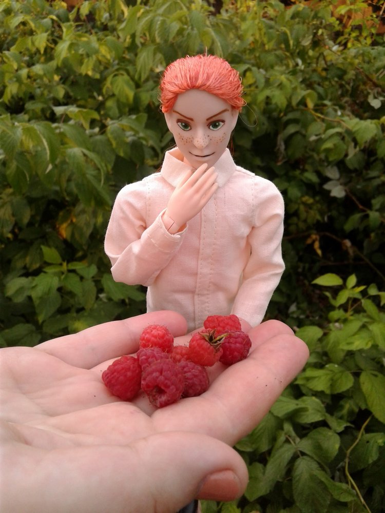 Коробка со сладостями — Куклы и тела Obitsu (Обитсу): 1/6 (фото 6)