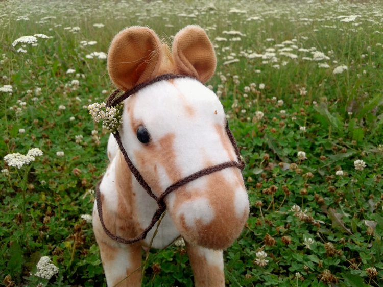 Два года спустя: Лаэрт Гринграсс. Конная прогулка (фото 10)