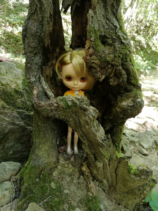 Лето. Море. Блайз — Оригинальные куклы Blythe (Блайз): Takara (фото 6)
