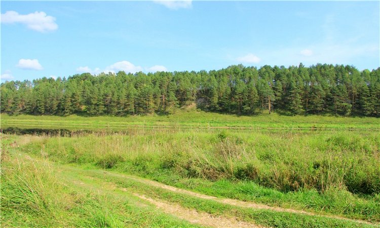 Старицкая Швейцария. Путешествие с Сашей, продолжение. Уникальная кукла от Сильвии Наттерер