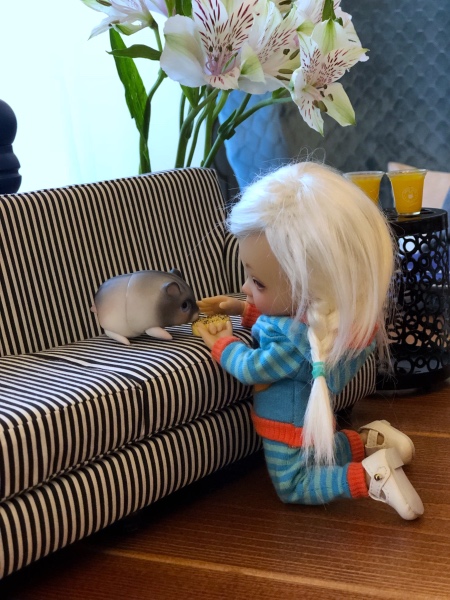 Знакомство Дрюши и Хомки — Куклы Irrealdoll (Ирреалдолл): BJD (БЖД) (фото 6)