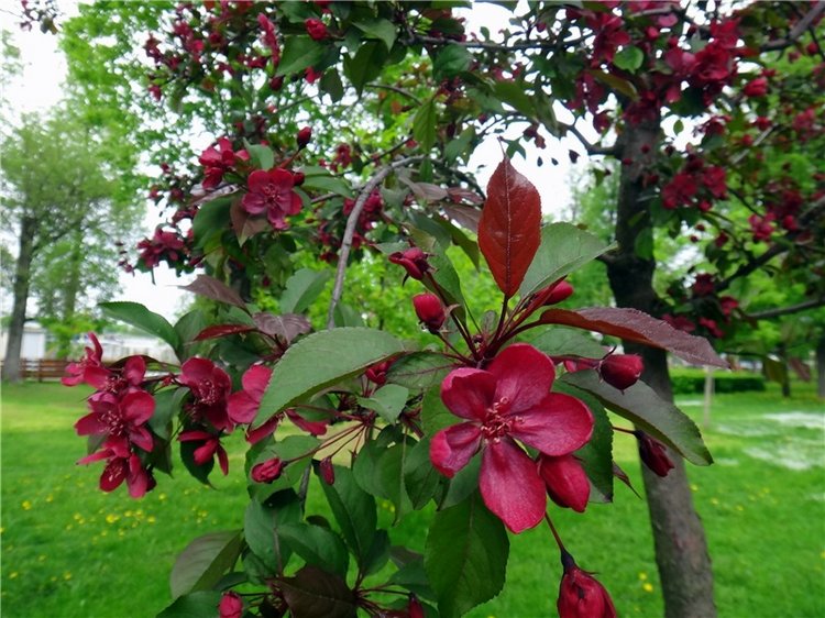Милый мой город. Прогулка по Твери, заключительная часть