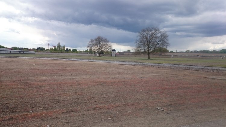 Спасибо Вам за смелость и отвагу, за небо мирное над головой (фото 8)