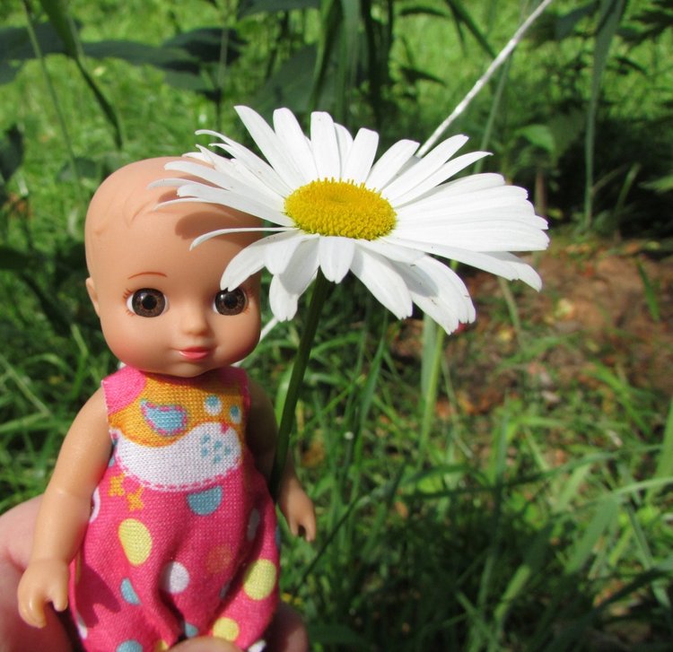 Малышня на прогулке в Бирюлёвском дендропарке