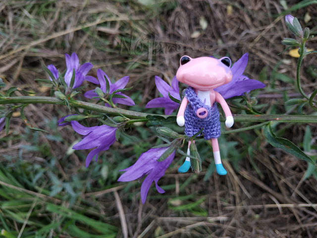 Wonderfrog. Красота в простоте. Часть 2