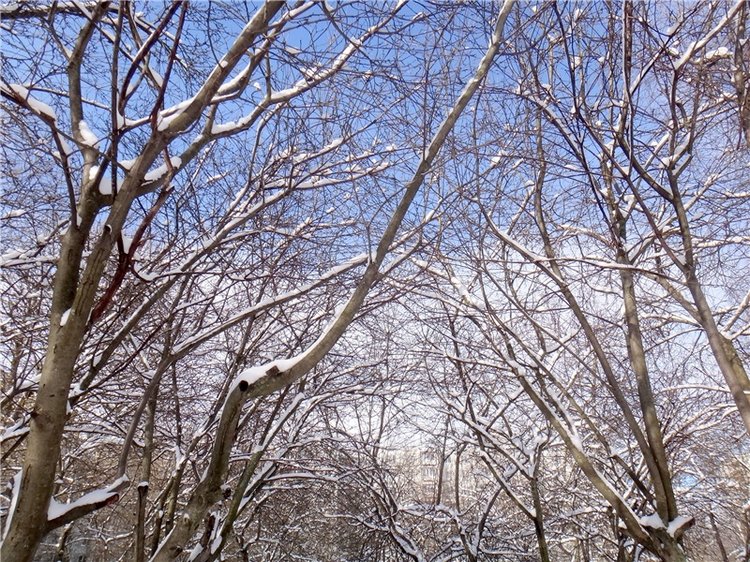 Просто Весна — Красивая природа и цветы: фото пейзажей