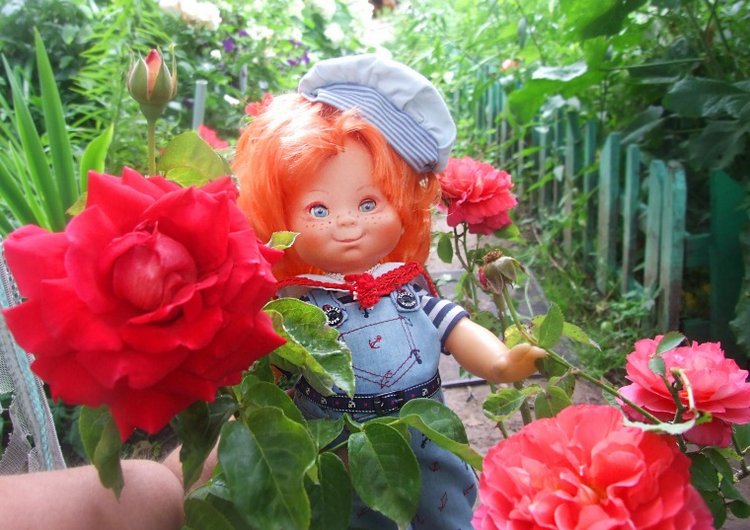 От сердца и почек дарю вам цветочек | Бэйбики От сердца и почек дарю вам цветочек (фото 5)