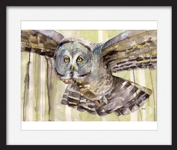 TheColorfulCatStudio - Иллюстрированная фауна by Rachel Byler (фото 9)