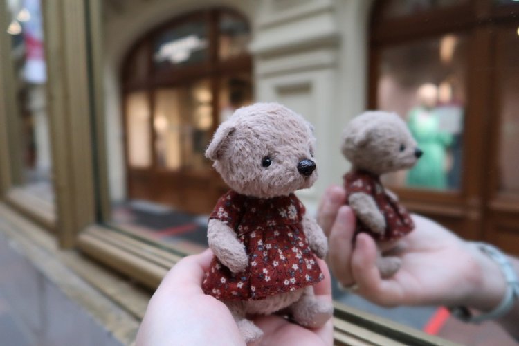 Знакомьтесь, новый вид медведей - медведь сумочный