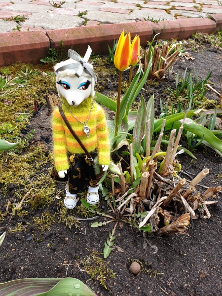 Просто Питина — Коллекционные куклы разных авторов (Разное): редкие бренды